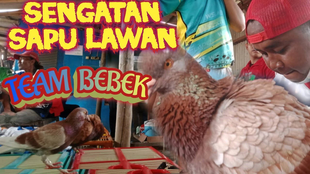 Sengatan Sapu Lawan di Lapak Padel Tegal