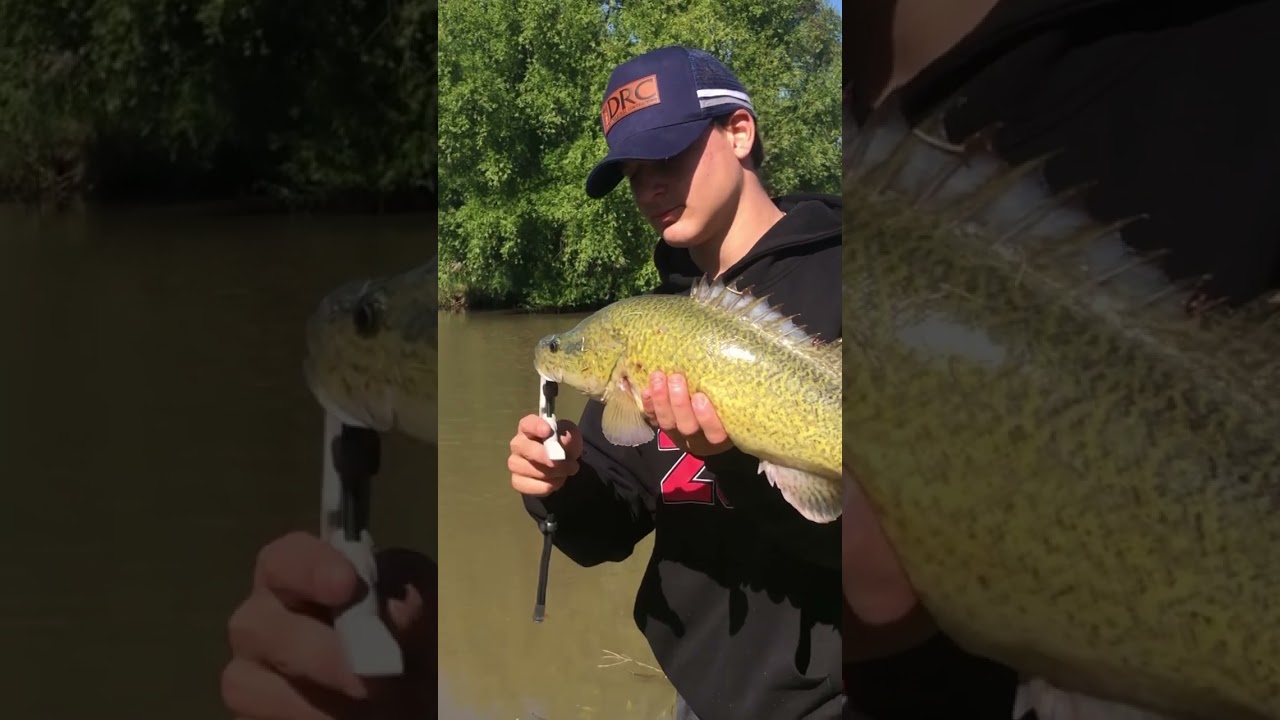 Say ahh. PB Murray Cod @BerkleyFishingANZ @theanacondaadventure @bcfaustralia