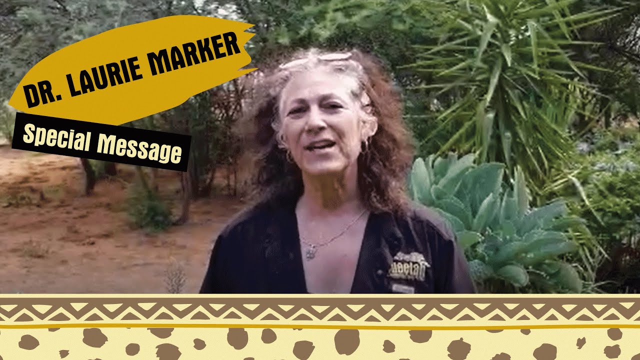 Message from Dr. Laurie Marker - COVID-19