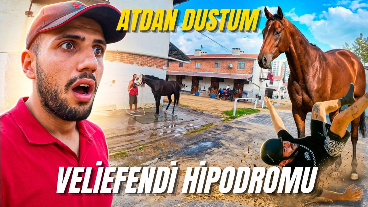 JOKEYE SORDUK , Yarıştan önce atlar nasıl hazırlanır ? -VELIEFENDI'de bir gun