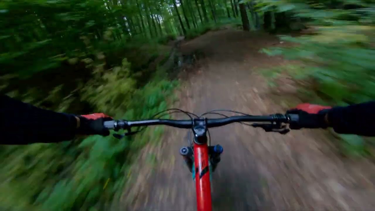 [MTB Brasov] Saua tampei - Iepure - Garaje