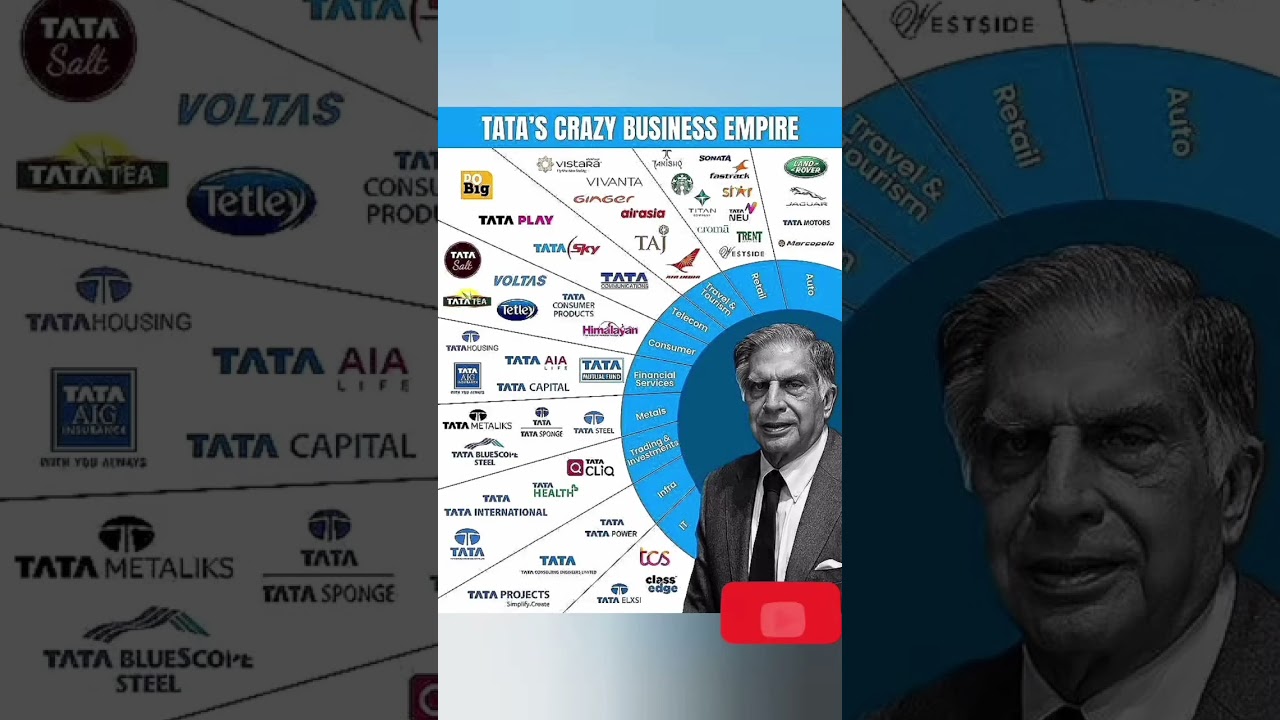 TATA GROUP BUSINESS EMPIRE.    #tata #porttobsnl #ratantata #shortsfeed #viral
