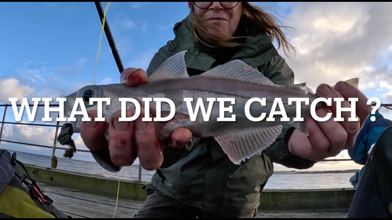 Fishing | Haddock | Blyth Pier