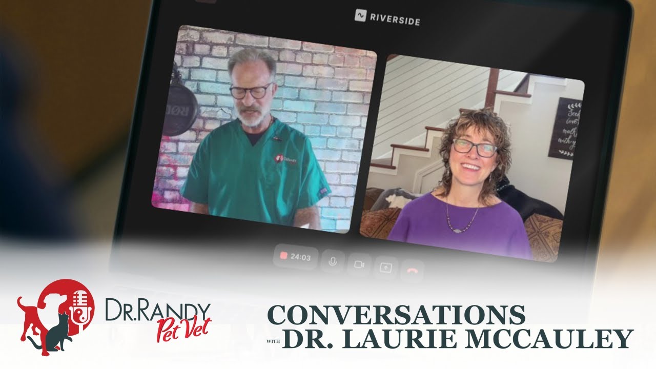 The Top 5 Exercises for Geriatric Dogs, the First Underwater Treadmill, & More - Dr. Laurie McCauley