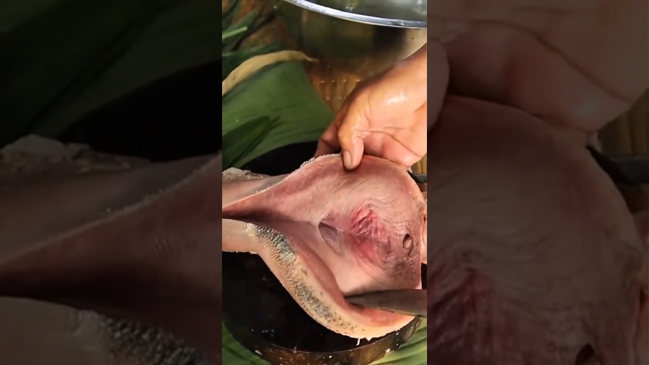 mau ketawa takut dosa video lucu bikin ngakak hiburan warga+62 