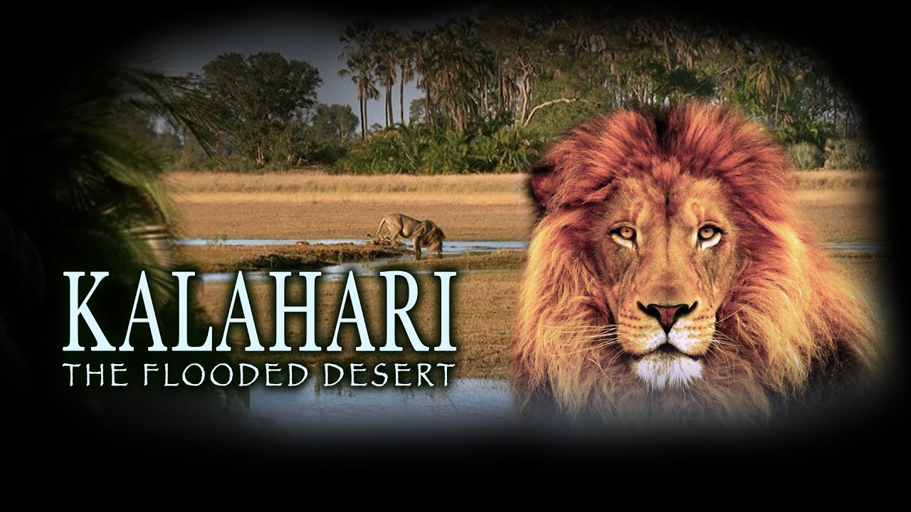 Kalahari: The Flooded Desert (Full Movie in HD)
