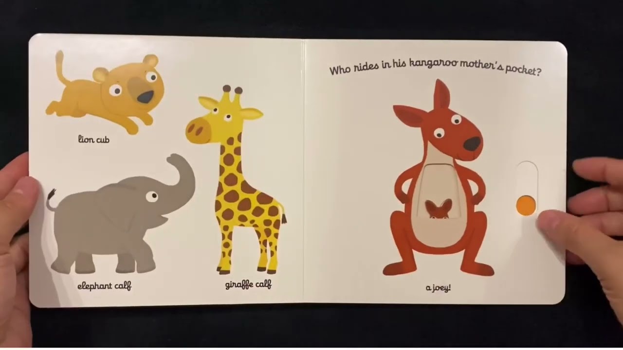 Baby Animals - Silver Dolphin Books