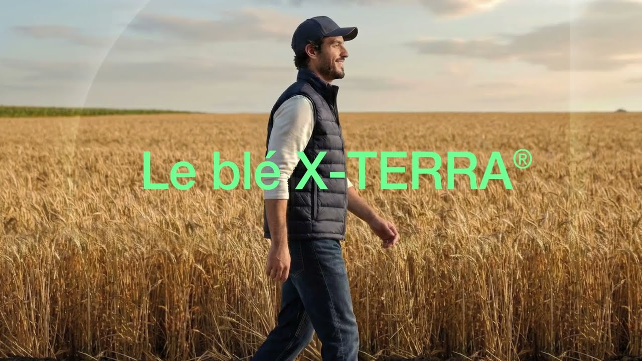 Les semences de blé X-TERRA®, changent la donne
