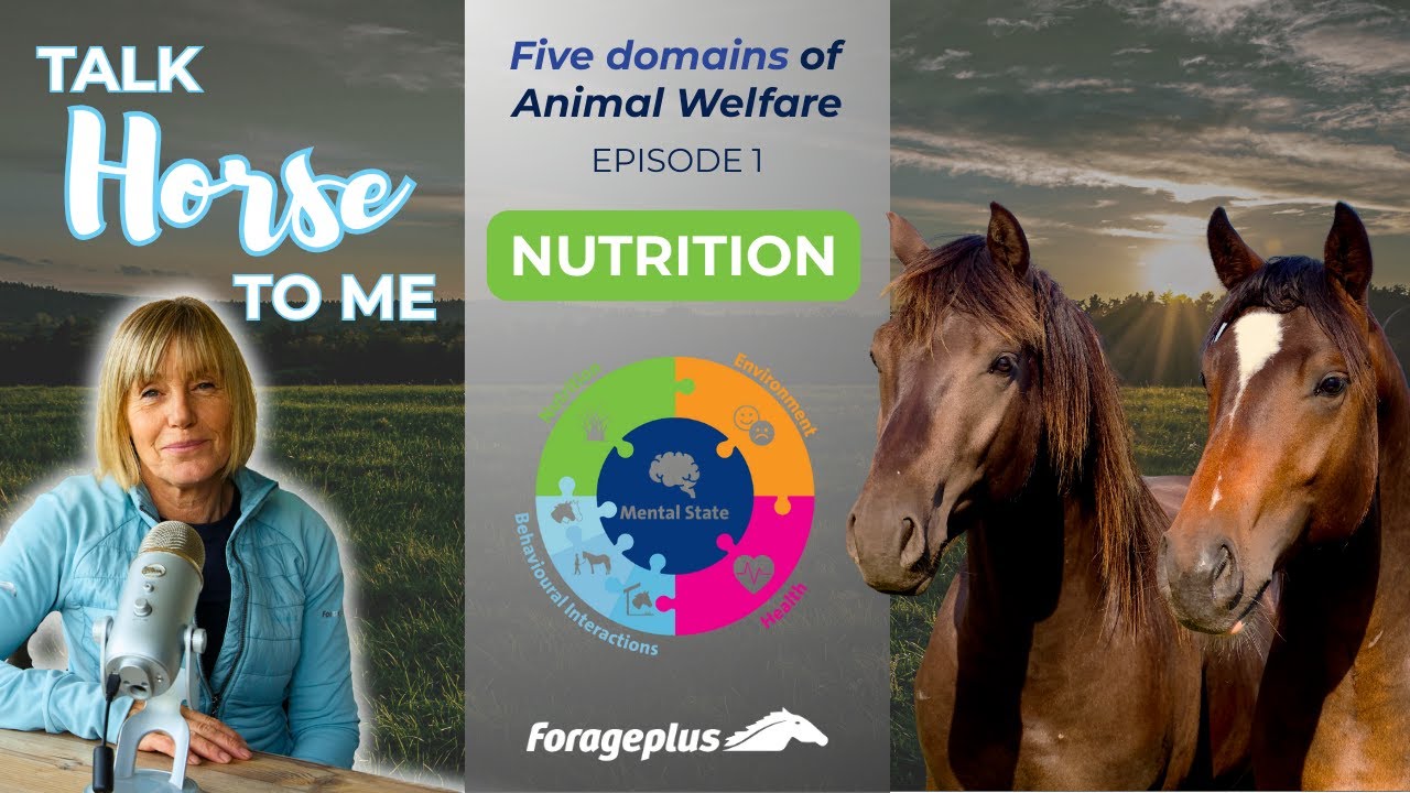 The Five Domains of Horse Welfare – Why Nutrition Comes First | Talk Horse To Me Podcast