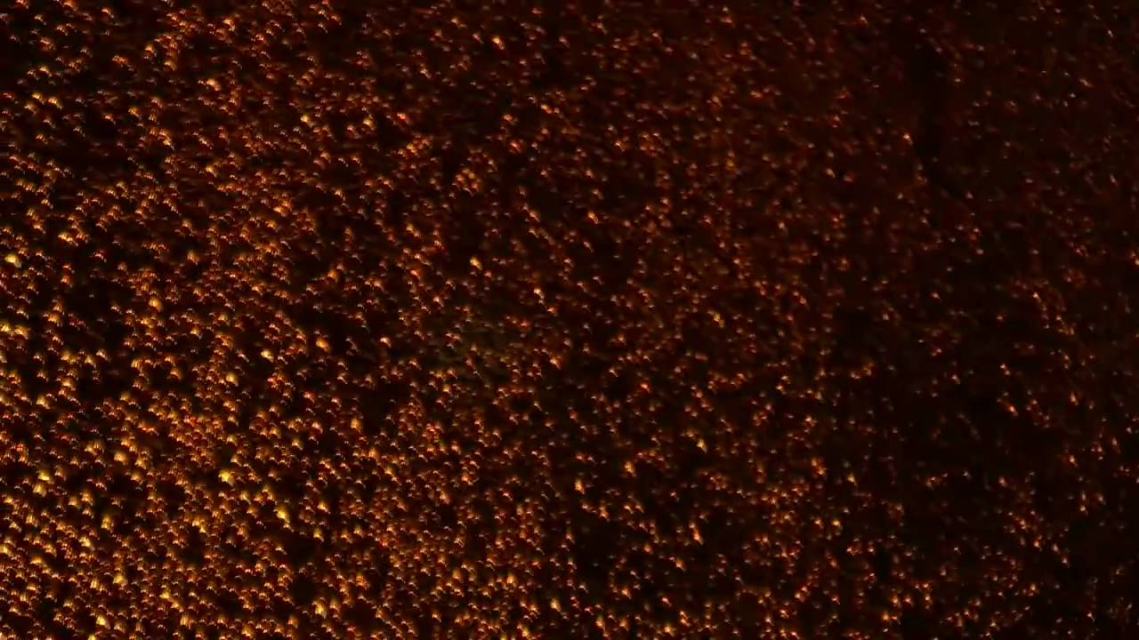 Shackleton - Come Up (Unofficial Video).mov