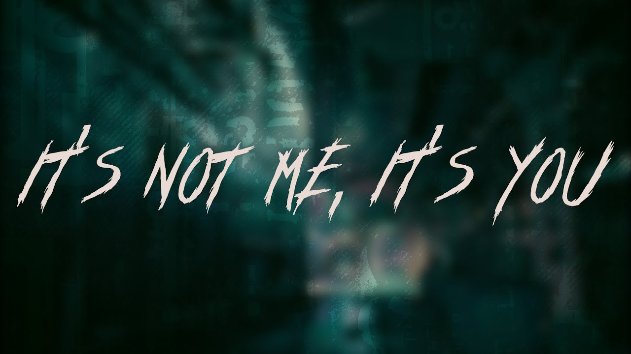 Skillet - It's Not Me, It's You | Lyrics
