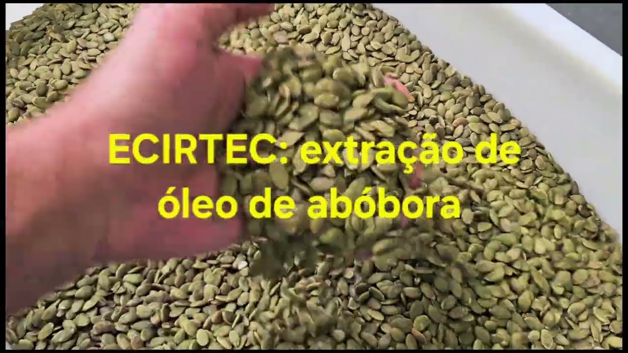 Descubra como extrair &oacute;leo de semente de ab&oacute;bora com os equipamentos Ecirtec