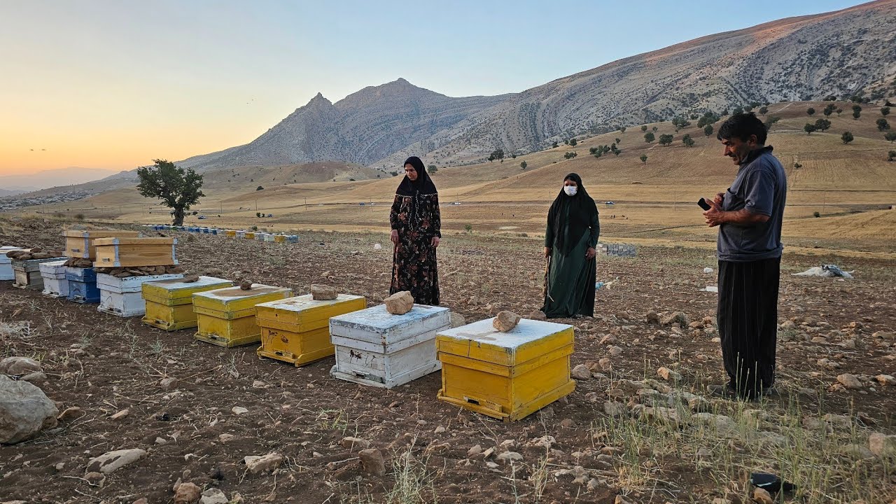 Single Mom's Sweet Dream: Can She Fund 10 Beehives and Start a Beekeeping Business?