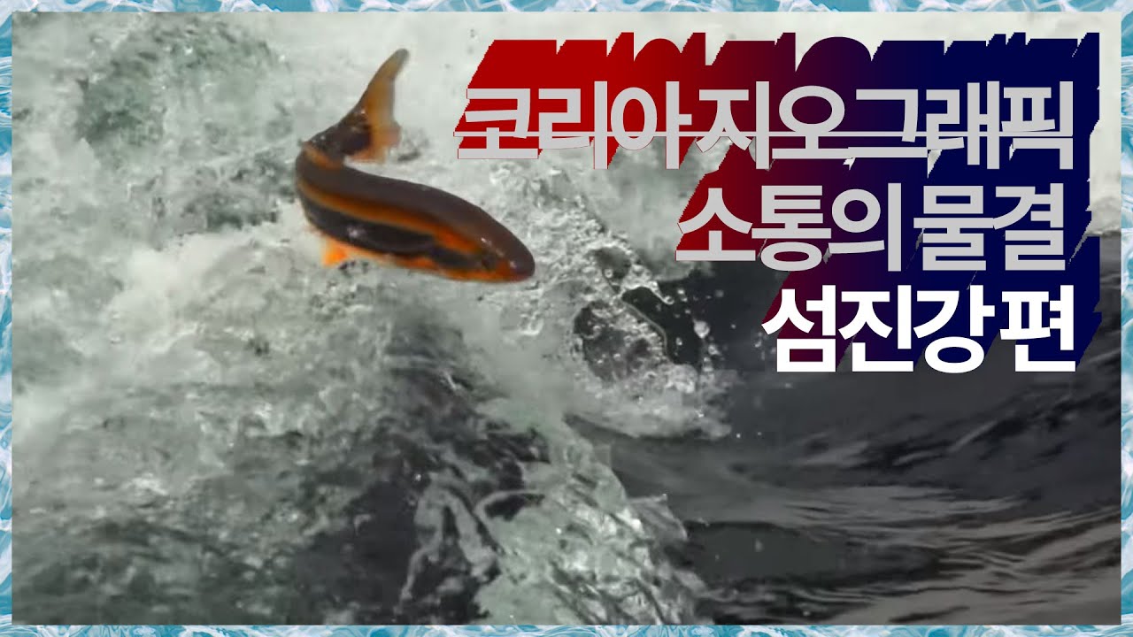 [코리언 지오그래픽] 소통의 물결 - 섬진강 편 (2015.10.22,목)