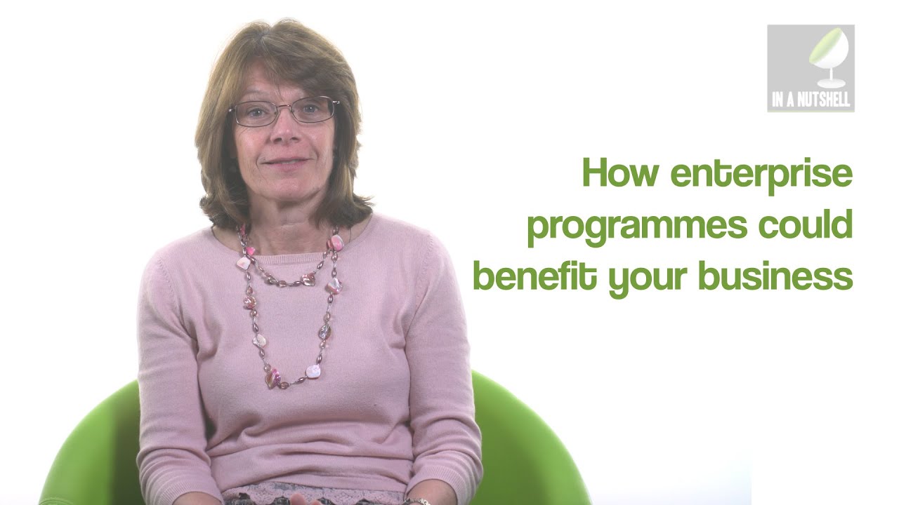 How enterprise programmes could benefit your business - In a nutshell