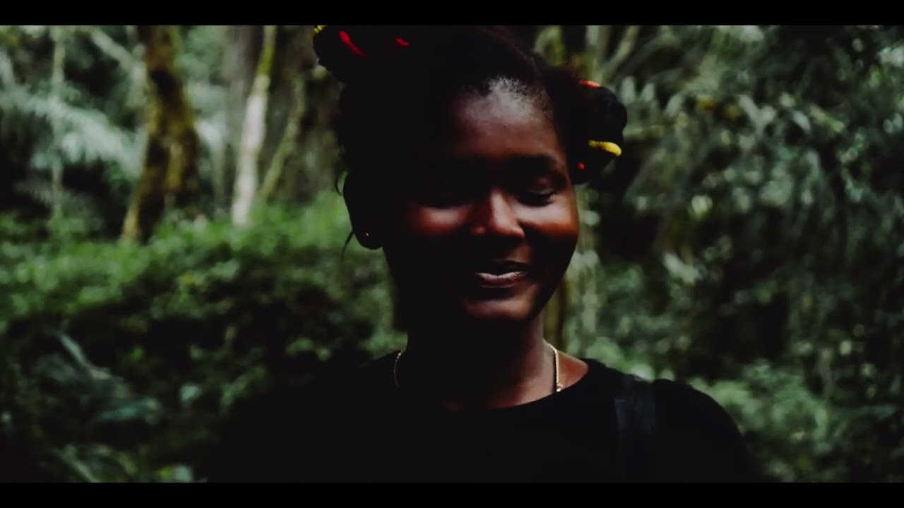 Echo of the forest 🇸🇱