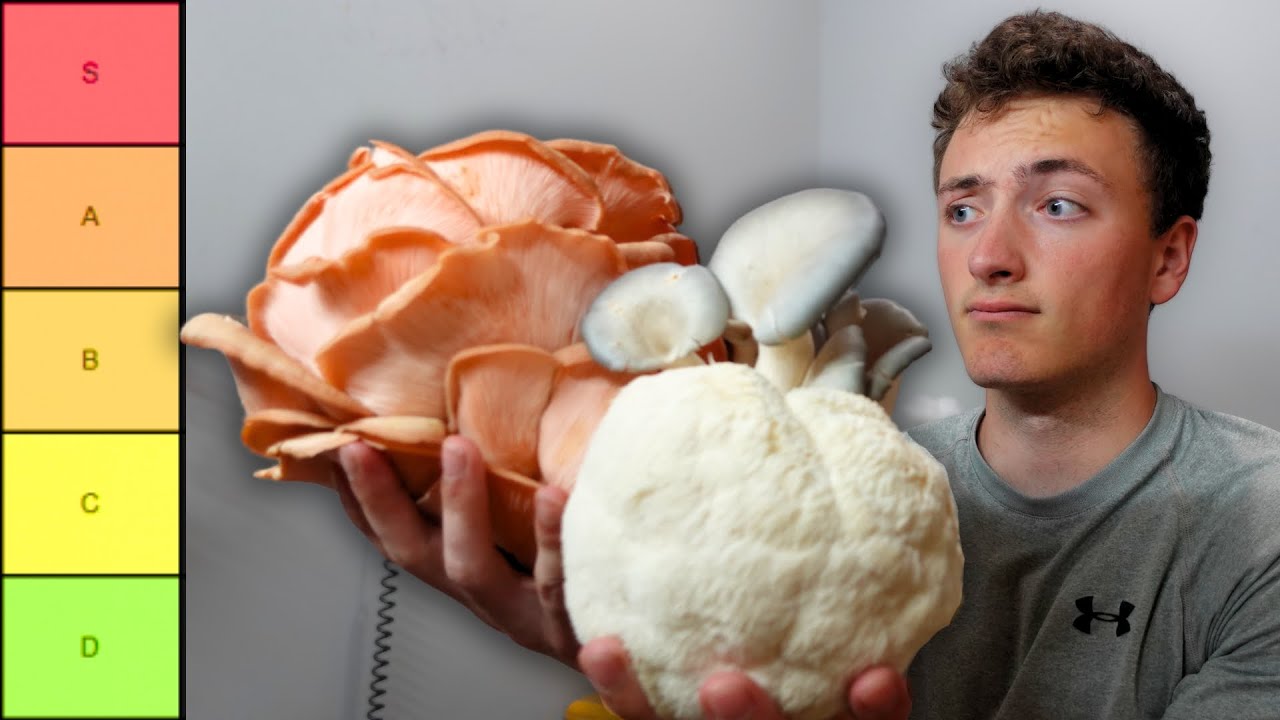 Mushroom Farmer Ranks The Best Mushrooms To Grow