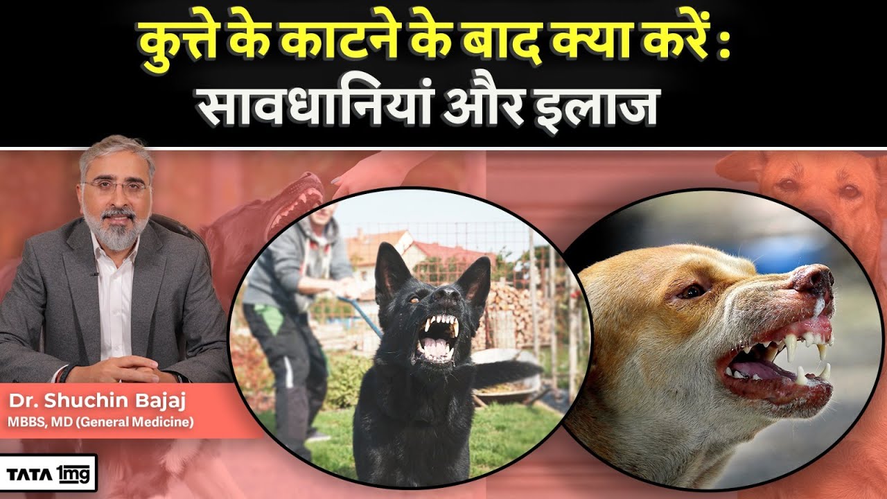 कुत्ते के काटने के बाद क्या करें- सावधानियां और इलाज | Dog Bite | Rabies | TATA 1 MG
