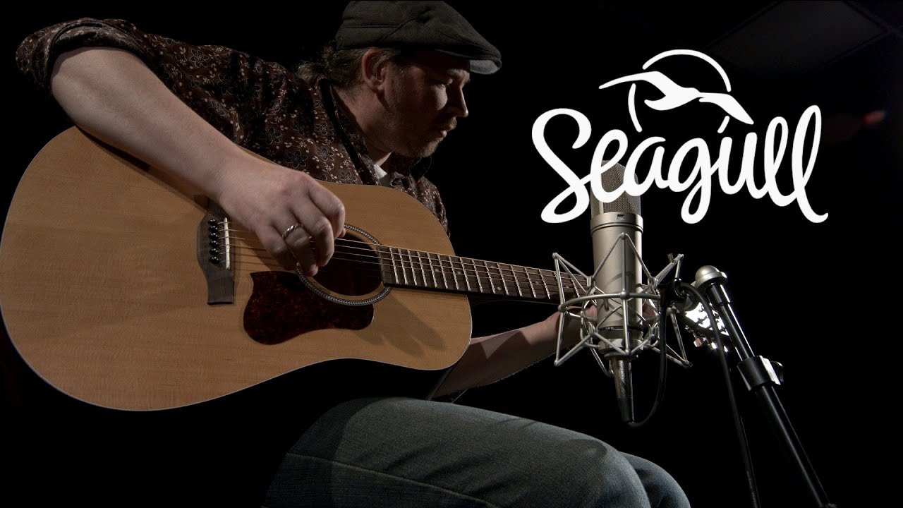 Seagull S6 Acoustic Guitar | Demonstration