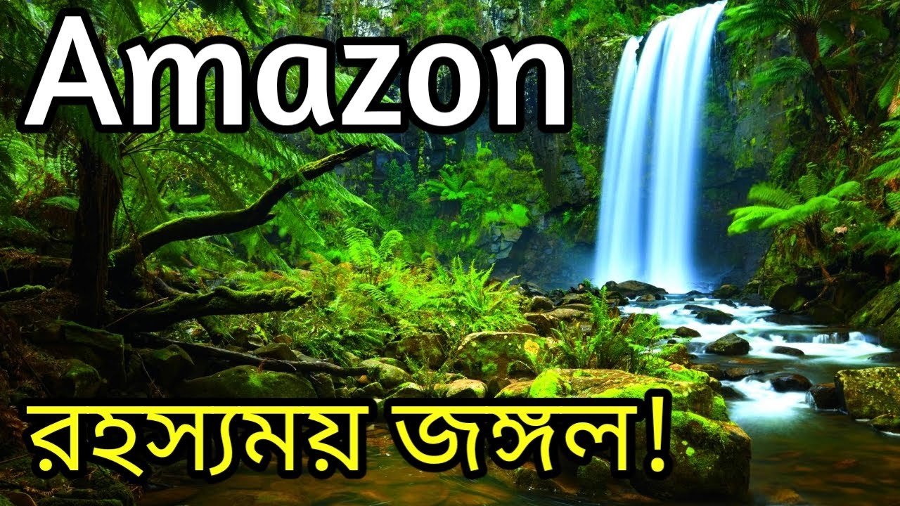 রহস্যঘেরা আমাজন বন সম্পর্কে কিছু অবাক করা তথ্য জেনে নিন ! Amazing Facts About Amazon Rainforest