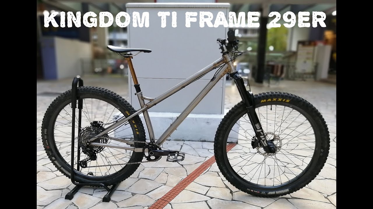 CUSTOM 2020 KINGDOM BIKES HARDTAIL - BIKE CHECK