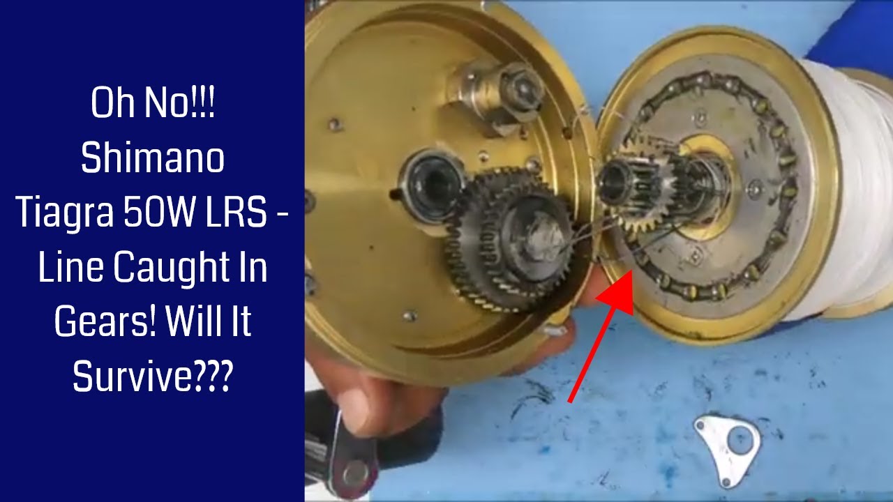 Oh No!!! Shimano Tiagra 50W LRS Line Caught In Gears! Will It Survive??? Fishing Reel Repair
