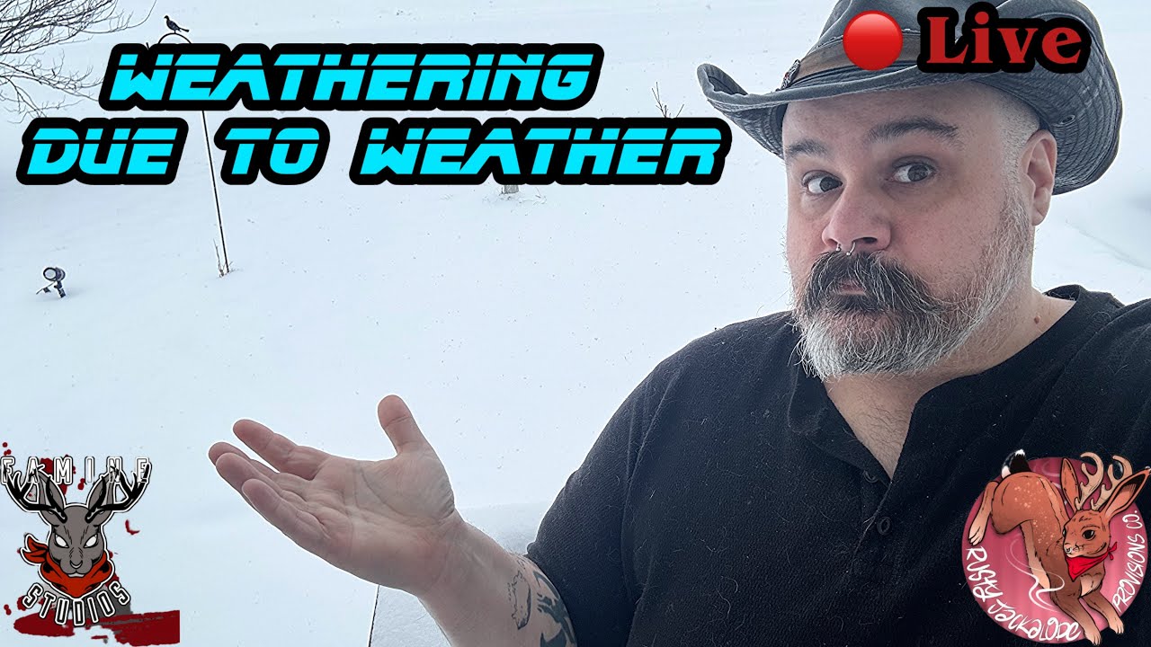 Snow Day vibing! Weathering DROIDS, TROOPERS, & more. Open convo, live art. Come together. 