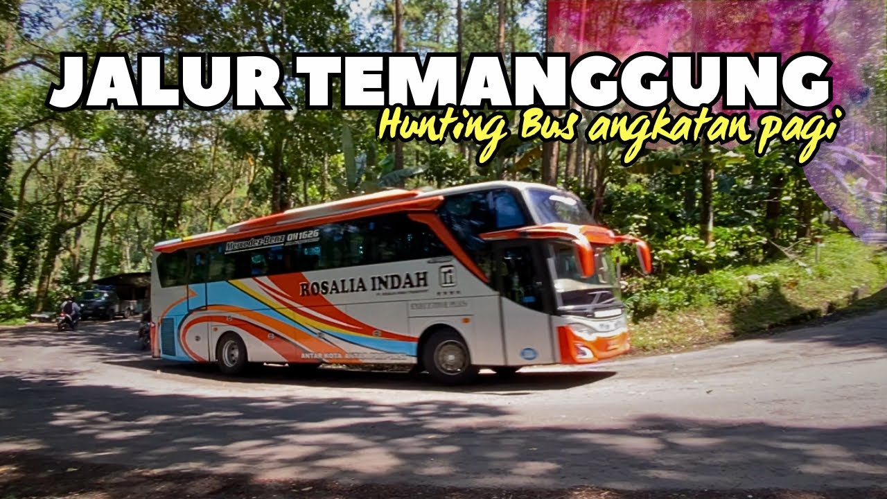 PESONA JALUR TEMANGGUNG🔥. Hunting Bus Pagi Di Jalur Temanggung-Weleri