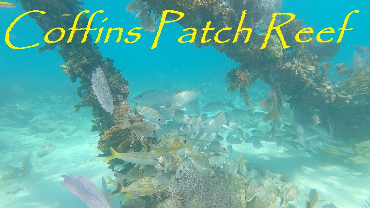 Diving Coffins Patch Reef, Florida Keys