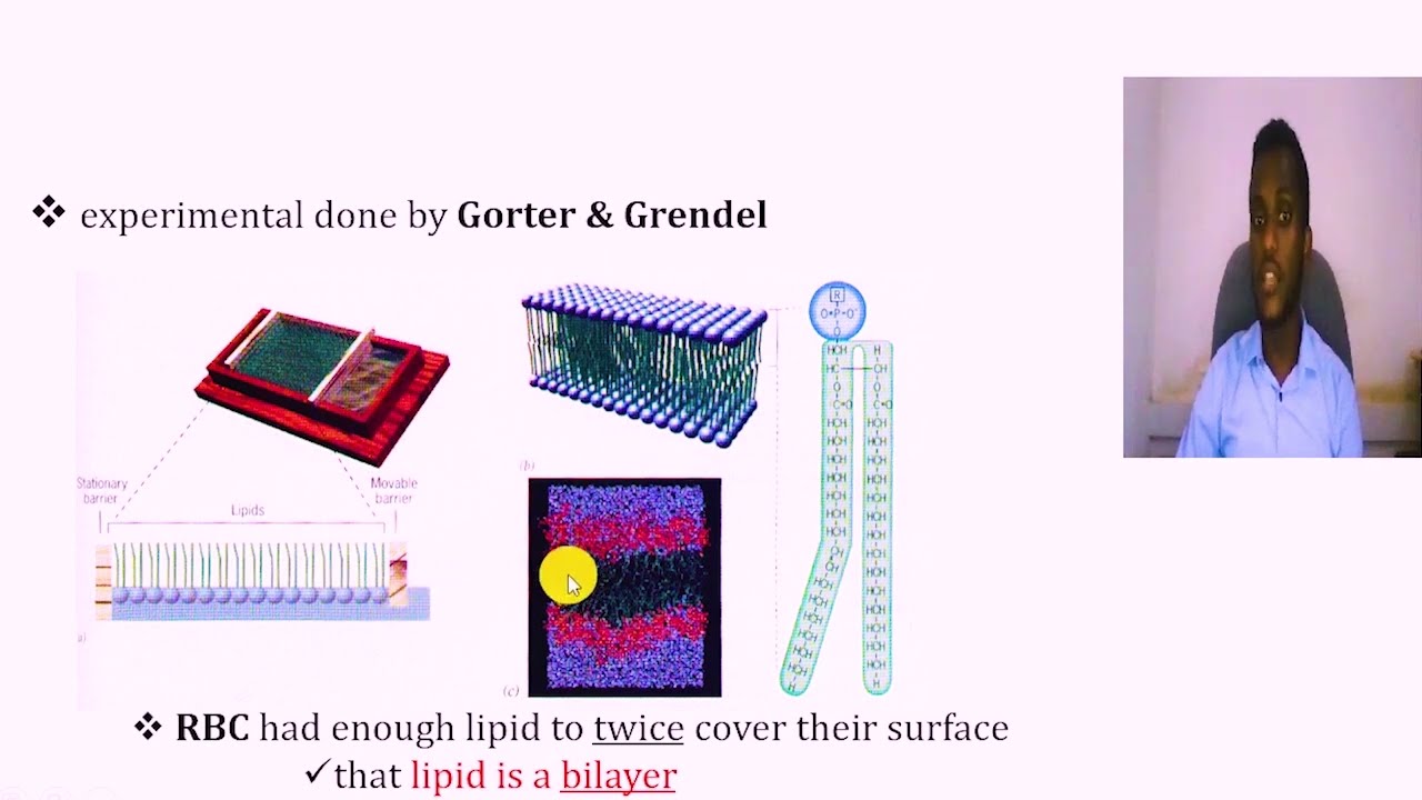 Cell membrane and Cellular transport