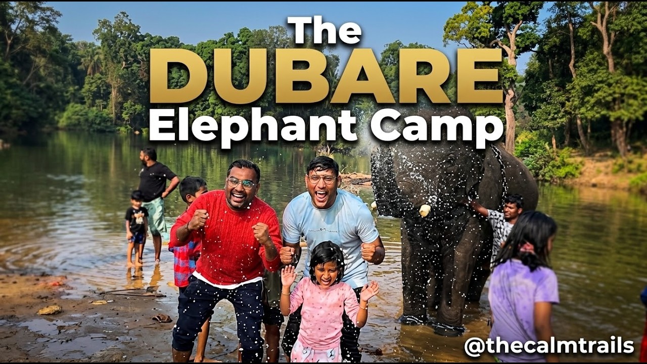 Dubare Elephant Camp Full Tour & Safari 🐘 | Jungle Stay Itinerary