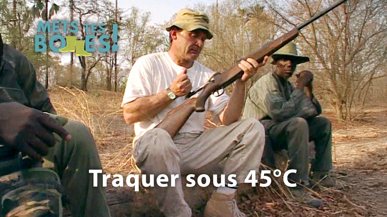 Pintades et phacochères : une chasse africaine sans filet