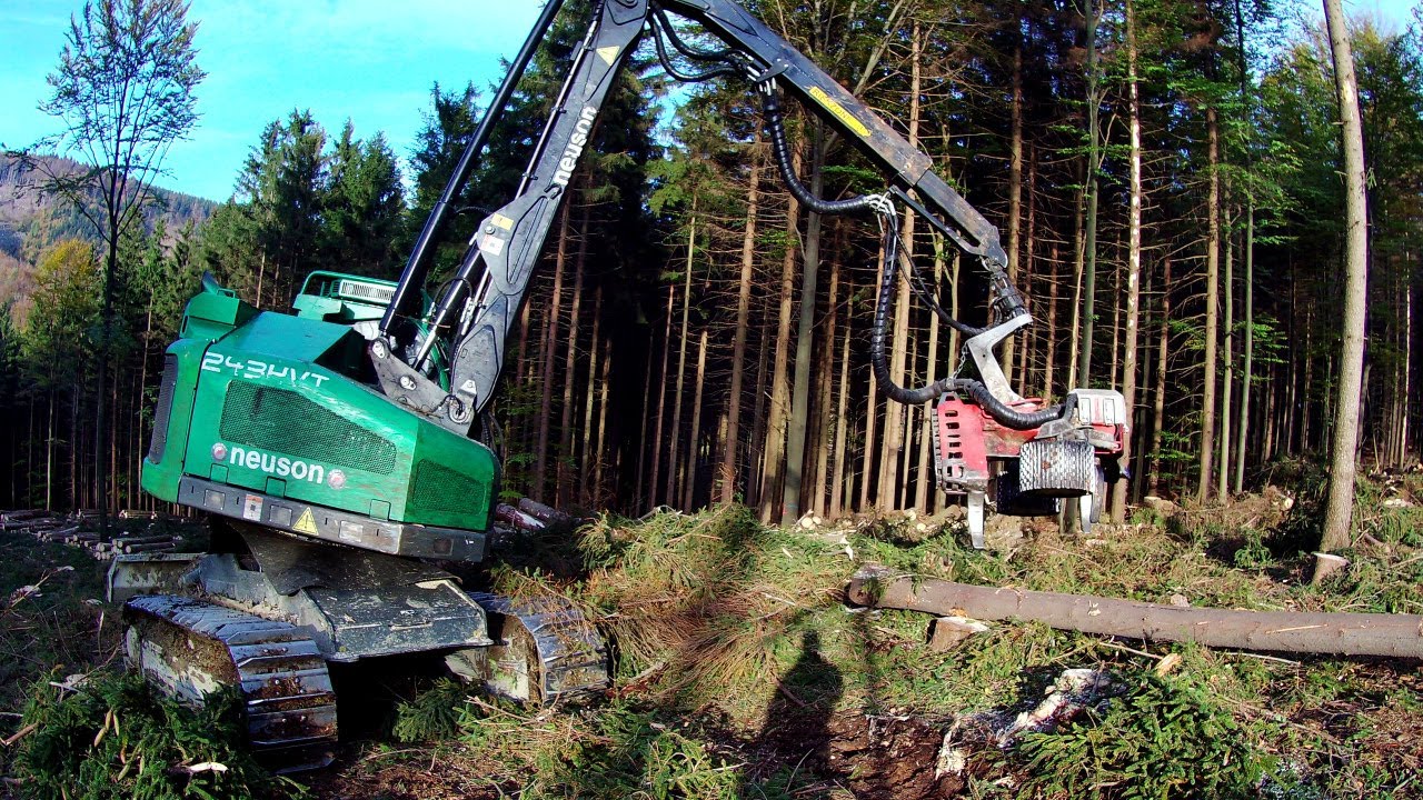 NEUSON 243HVT - forest harvester 🌳🌲