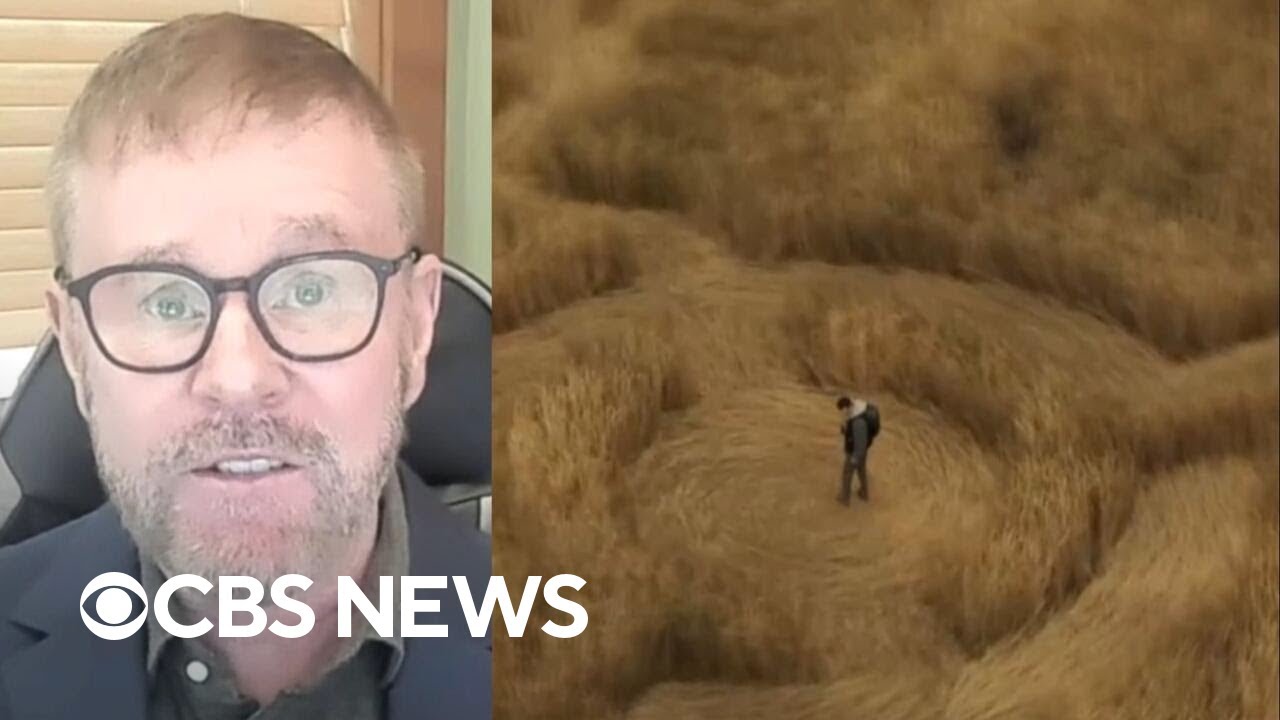 Alien expert on Earth visits: 