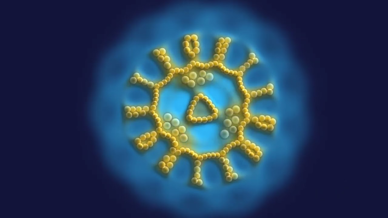 Particle Lenia