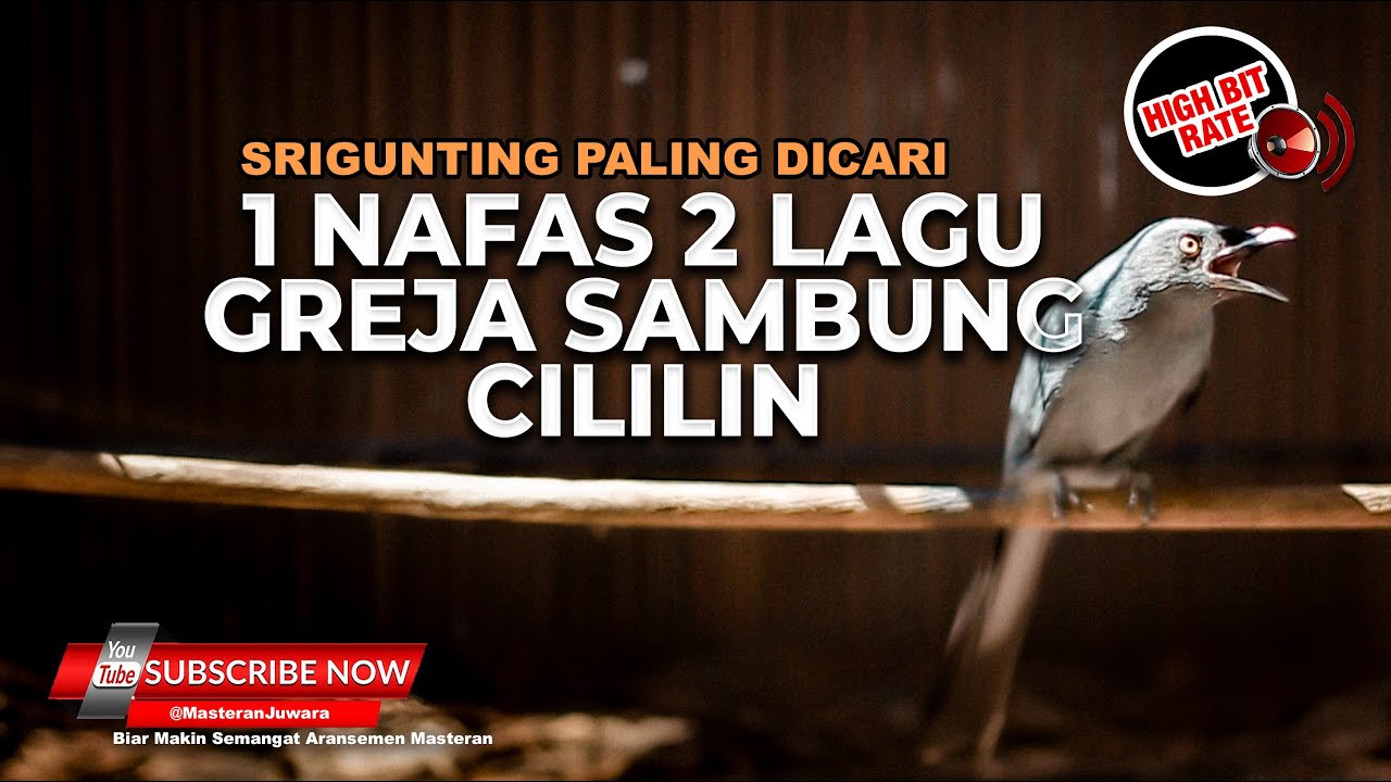 🔴Srigunting Abu Abu Satu Nafas 2 Lagu Greja Sambung Cililin Mix Kunti Petir