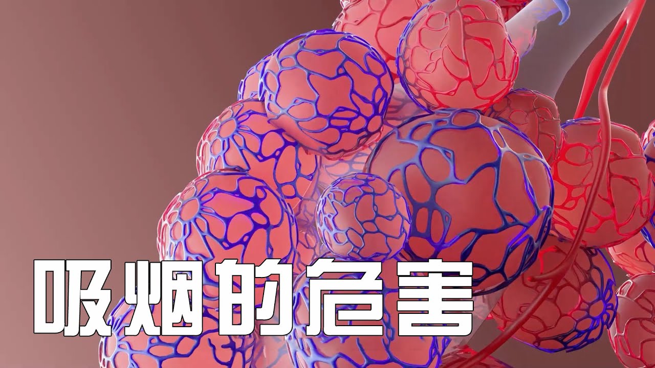 【吸煙的危害】  The Dangers of Smoking