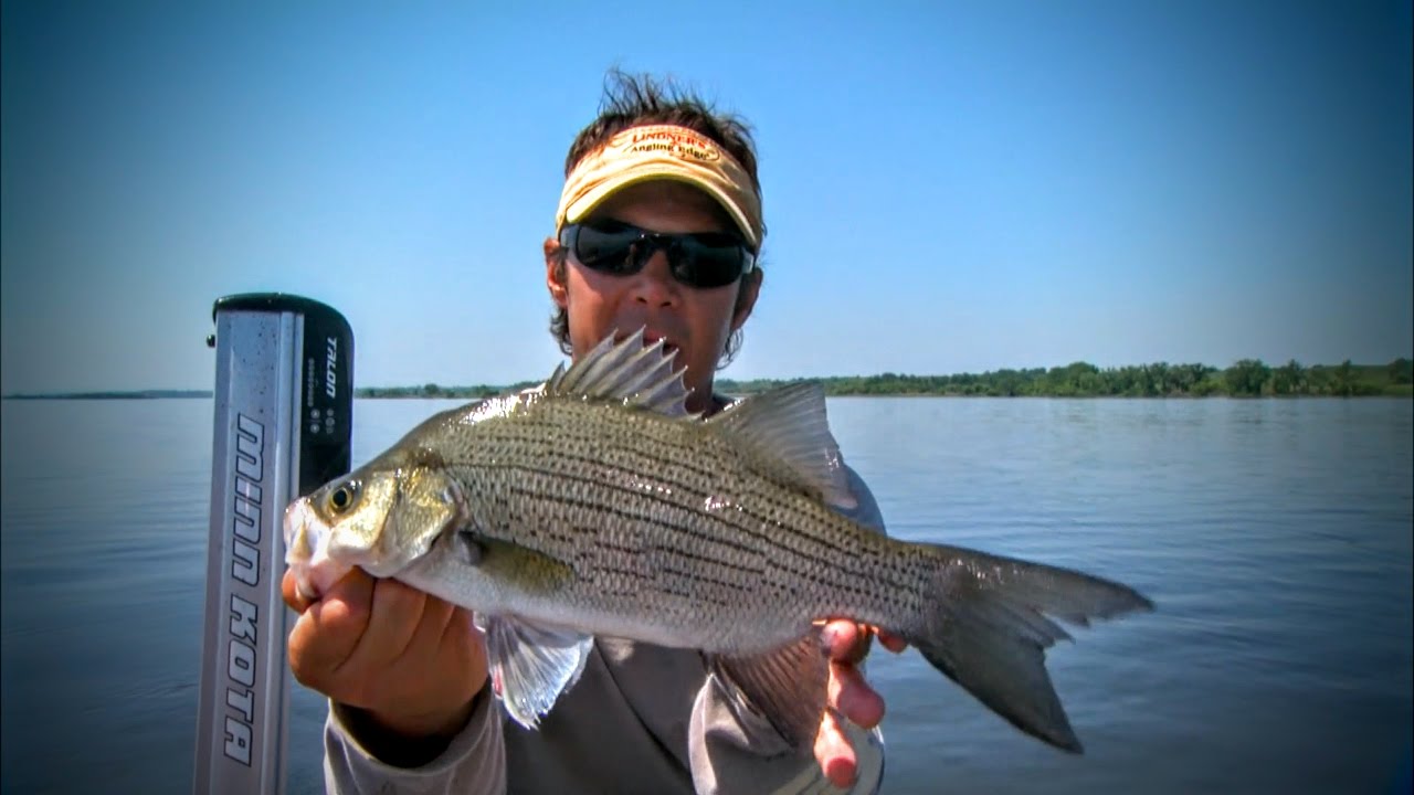 Lure Choice Can Make All the Difference