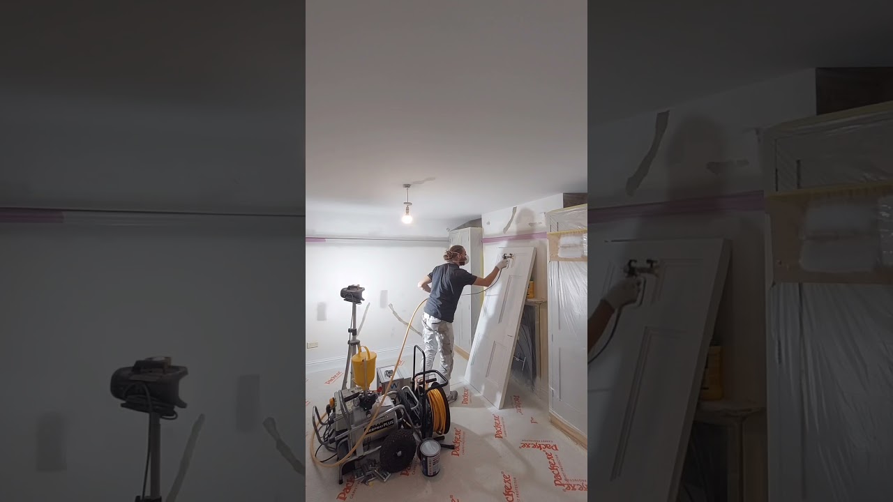 Wagner Nespri-Tec spraying system