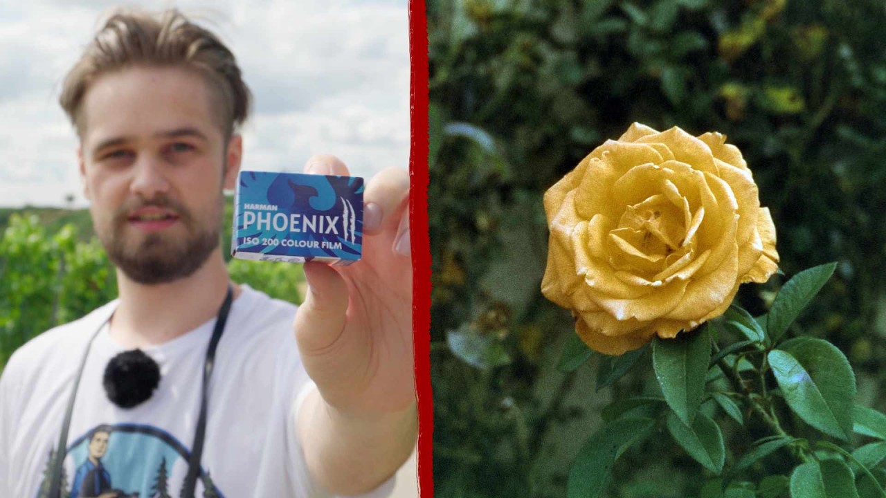 A chill summer day of film photography with Harman Phoenix II
