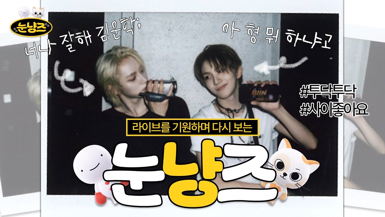 투닥투닥 사이 좋은 눈냥즈.z!p | 위버라 오기를 기다림 | 보넥도 성호 운학