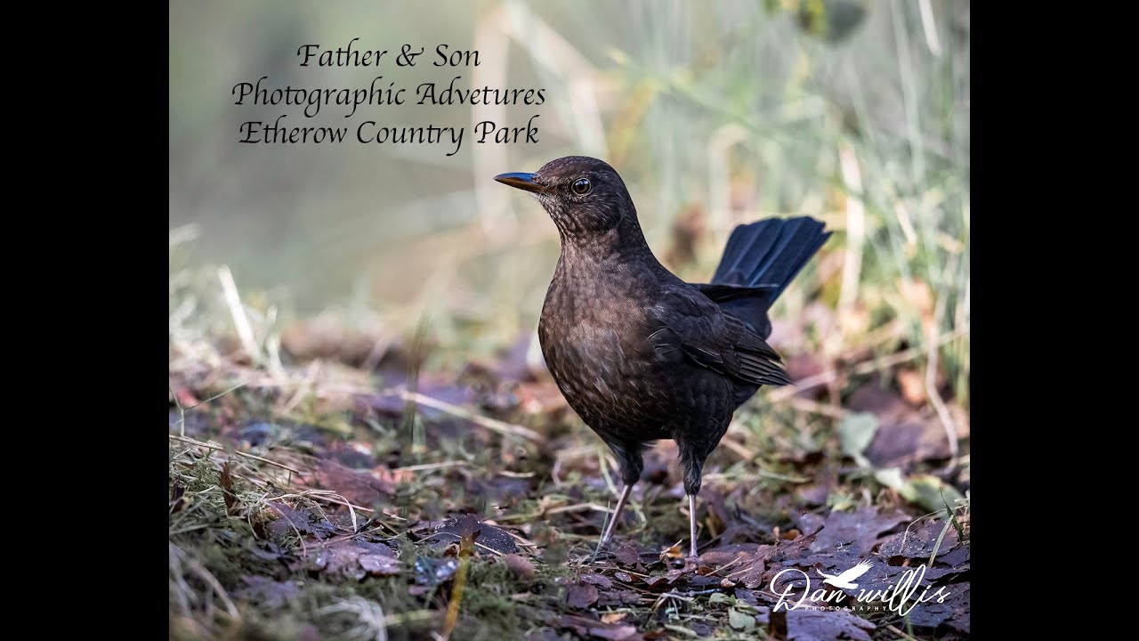 Фотоприключения отца и сына &mdash; загородный парк Этероу