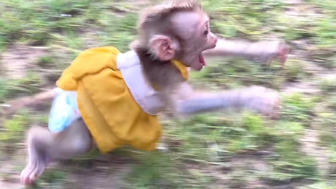 Oh  God!! Little Princess LIORA is running after her mother because she is afraid to be alone