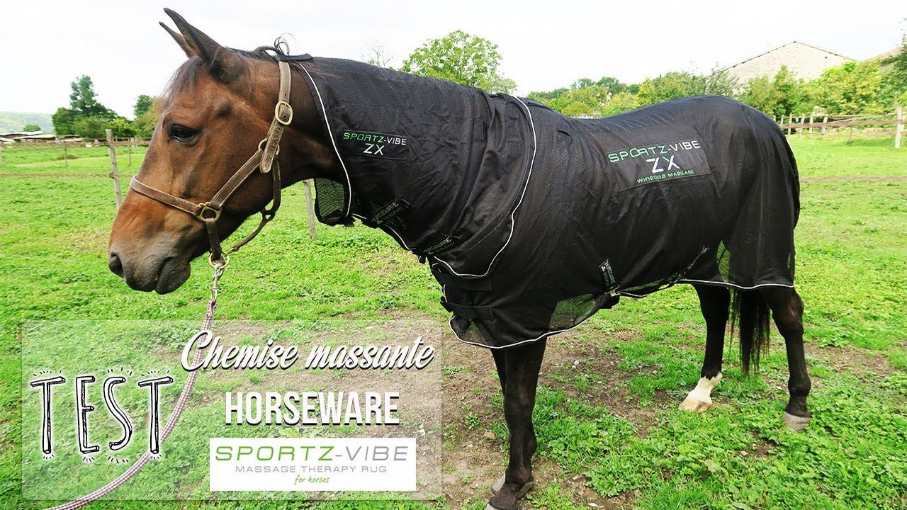 ~ TEST ~ Sportz-Vibe ZX, la nouvelle chemise massante d'Horseware