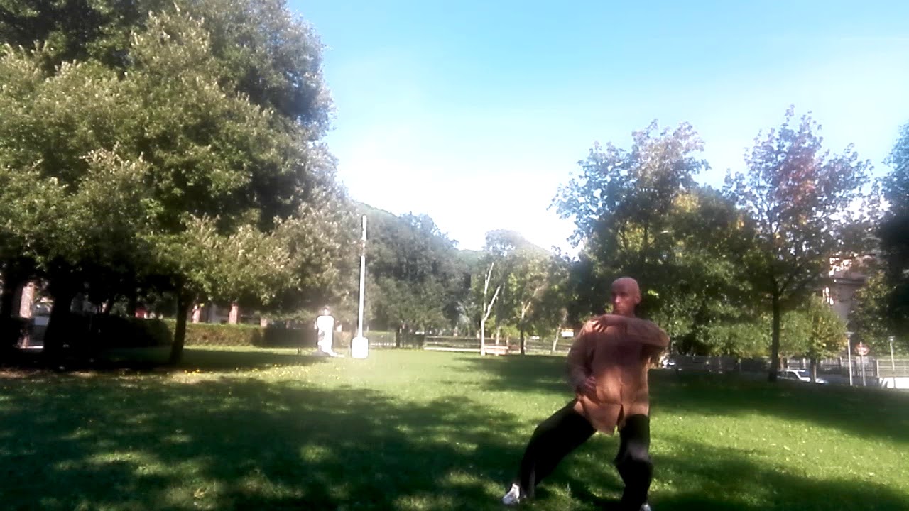 TAI CHI CHUAN -  CHENG MAN CHING 37 FORM - Massimiliano Biondi (2019)