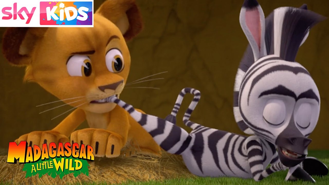 MADAGASCAR  - Play Fighting - Sky Kids