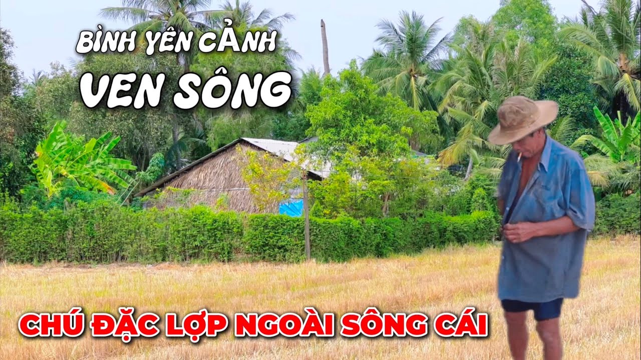 Nghề Ven Sông Vàm Cỏ | Cuộc Sống Nông Dân Ven Sông Tuy Cực Mà Bình Yên.