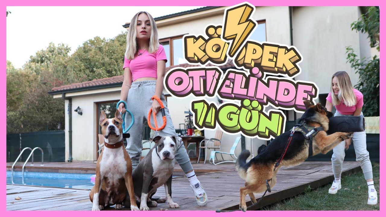 FENOMEN KÖPEK PUSU İLE KÖPEK OTELİNDE BİR GÜN w/Berke Juan
