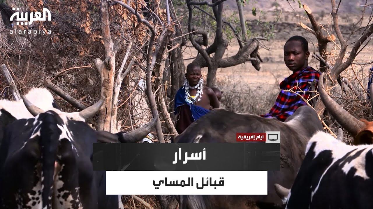 أيام إفريقية | يعيشون بين الوحوش ويشربون الدماء.. أسرار قبائل المساي في تنزانيا