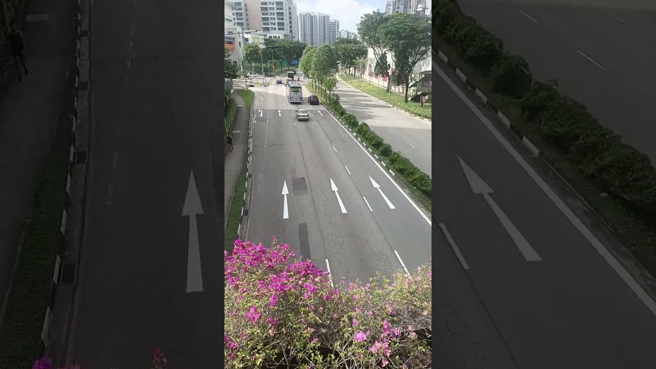 Singapore ki paidal ghumai | walking in Singapore #tour #toursingapore #singapore #walkthrough #like